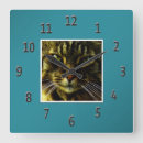 Buscar ojos verdes relojes de pared Animal