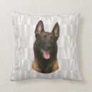 Buscar belgas cojines Malinois