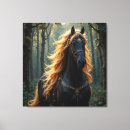Buscar caballo negro lienzos Naturaleza