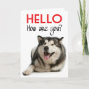 Buscar malamute de alaska tarjetas Cachorro