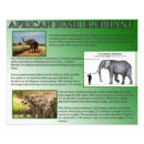 Buscar fotos de animales posters Vida silvestre