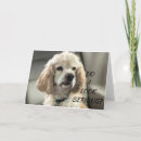 Buscar adolescente divertido fotografía Perro