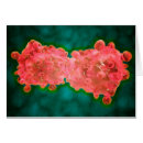 Buscar anatomía microscópica Fisiología