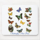 Buscar butterflys Naturaleza