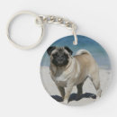 Buscar carlin llaveros Pug