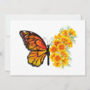Buscar amapolas amarillas tarjetas Flor