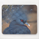 Buscar palomas alfombrillas de raton Azul