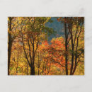 Buscar tennessee postales Hoja