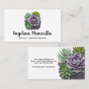 Buscar plantas suculentas tarjetas de visita General y unisex