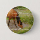 Buscar caballo chapas Naturaleza