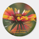 Buscar wildflowers imanes Naturaleza