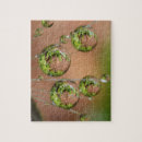 Buscar gotas de agua puzzles Flor