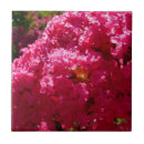 Buscar uva azulejos Floral