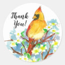 Buscar cardinal bird pegatinas Para todos