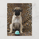 Buscar huella postales Animal