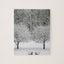 Buscar paisaje nevado puzzles Bosque