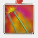 Buscar holland adornos Netherlands