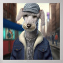 Buscar bedlington Lindo