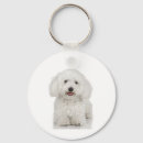 Buscar perro blanco llaveros Perros