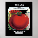 Buscar tomate posters Mercado de agricultores