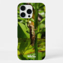Buscar insectos marrones iphone fundas Para todos