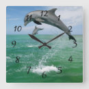 Buscar delfín en agua relojes de pared General y unisex