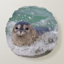 Buscar el practicar surf cojines Océano