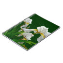 Buscar barbas cuadernos Iris