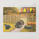 Buscar perro scotty postales Scottie