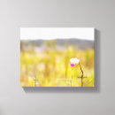 Buscar orquídeas tropicales lienzos Flor