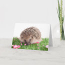 Buscar hedgehog tarjetas General y unisex
