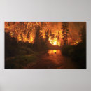 Buscar incendio forestal posters Fuego