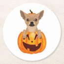 Buscar chihuahua posavasos Animal