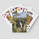 Buscar toro barajas de cartas Vaca