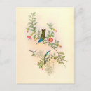 Buscar colibríes postales Para ella