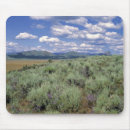 Buscar cultivo alfombrillas de raton Naturaleza