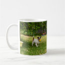 Buscar fox terrier tazas Perro
