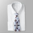 Buscar party animal corbatas Lindo