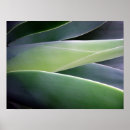 Buscar crezca arte Planta