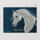Buscar caballo árabe postales Retrato