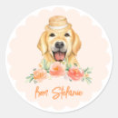 Buscar golden retriever pegatinas Cumpleaños
