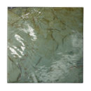 Buscar losa azulejos Gris