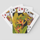 Buscar paraíso barajas de cartas Hojas