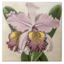 Buscar flower azulejos Vintage