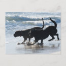 Buscar tarifa postales España