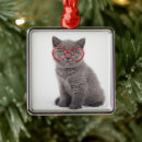 Buscar gafas adornos Gatito