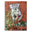 Buscar koala libretas Vida silvestre