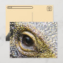 Buscar monitor postales Monitor de cocodrilo