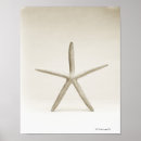 Buscar sealife posters Estrellas de mar