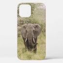 Buscar turismo iphone fundas Auto